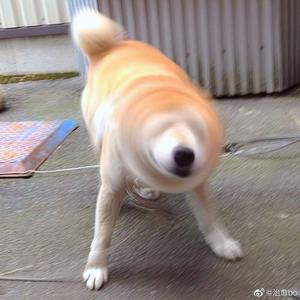 一级黄色女人深喉灌肠直播大秀
