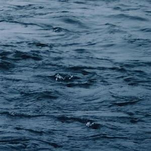 一级黄色女人深喉灌肠直播大秀
